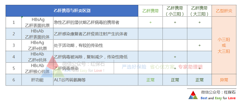 乙肝携带与肝炎区别.png